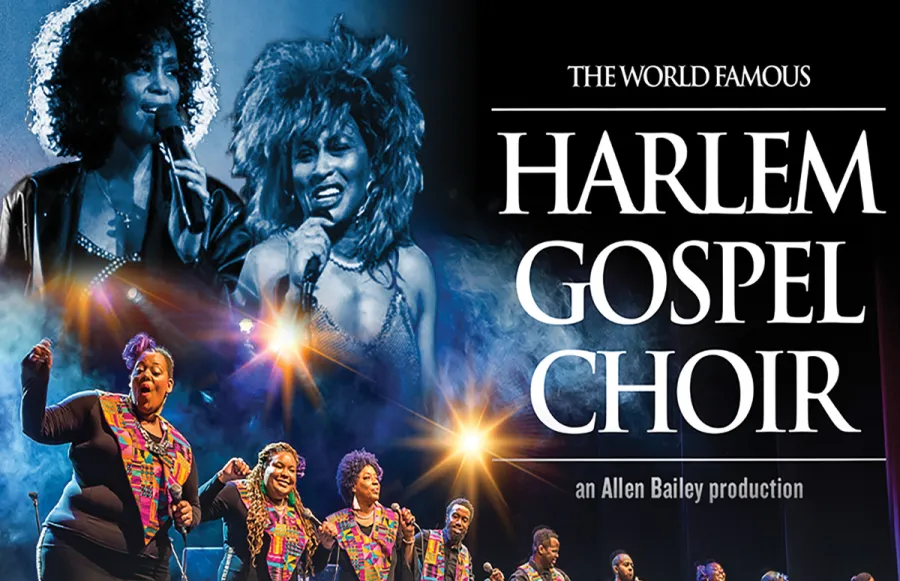 Remembering Whitney & Tina